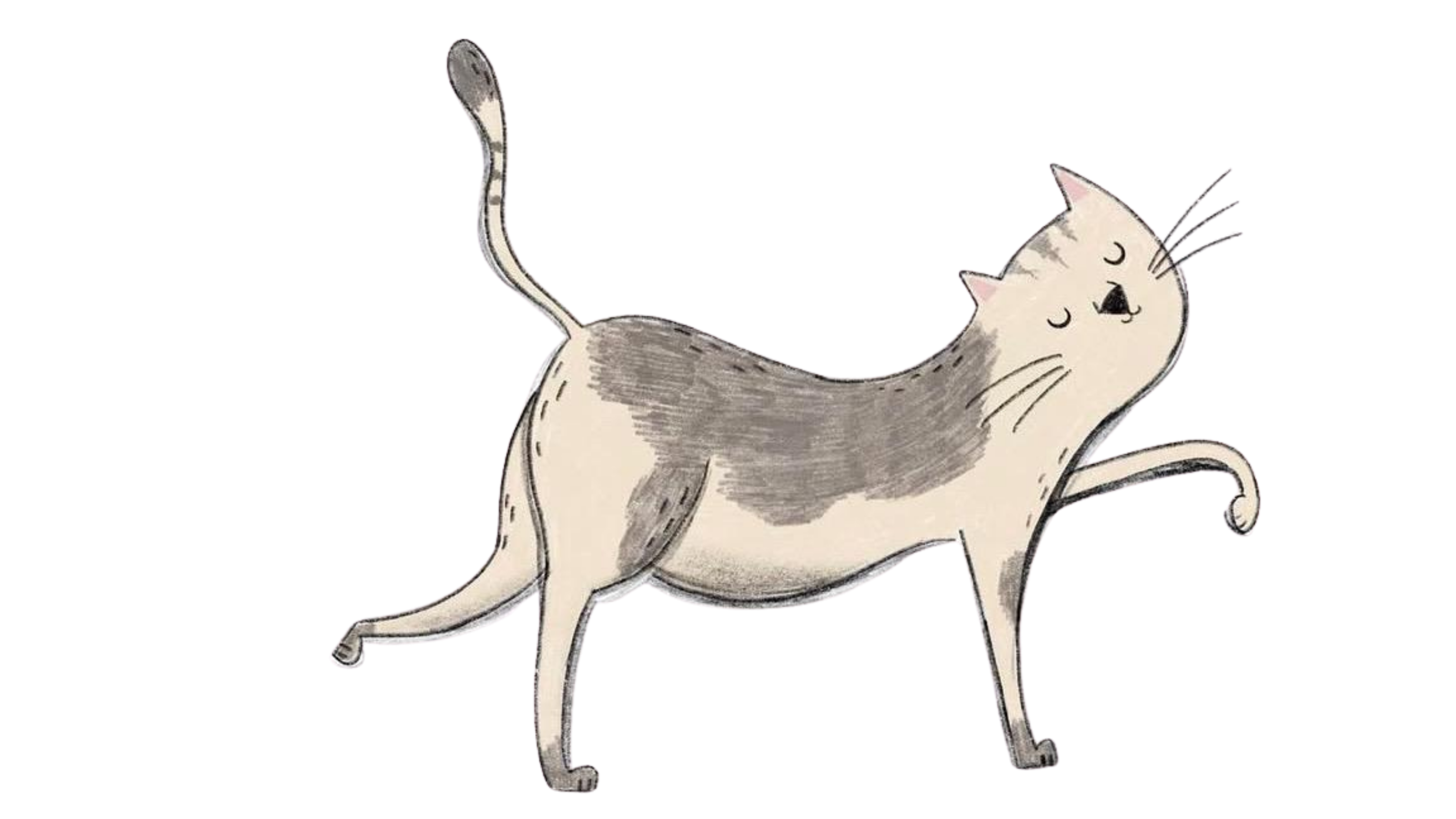Illustrazione di Alfred, gatto elegante e curioso